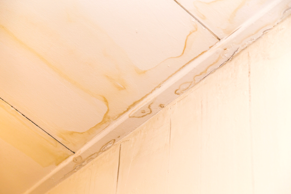 雨漏りによる壁紙のシミや剥がれに気づいたときの対処法 寝屋川 枚方 門真の雨漏り修理カンパニー